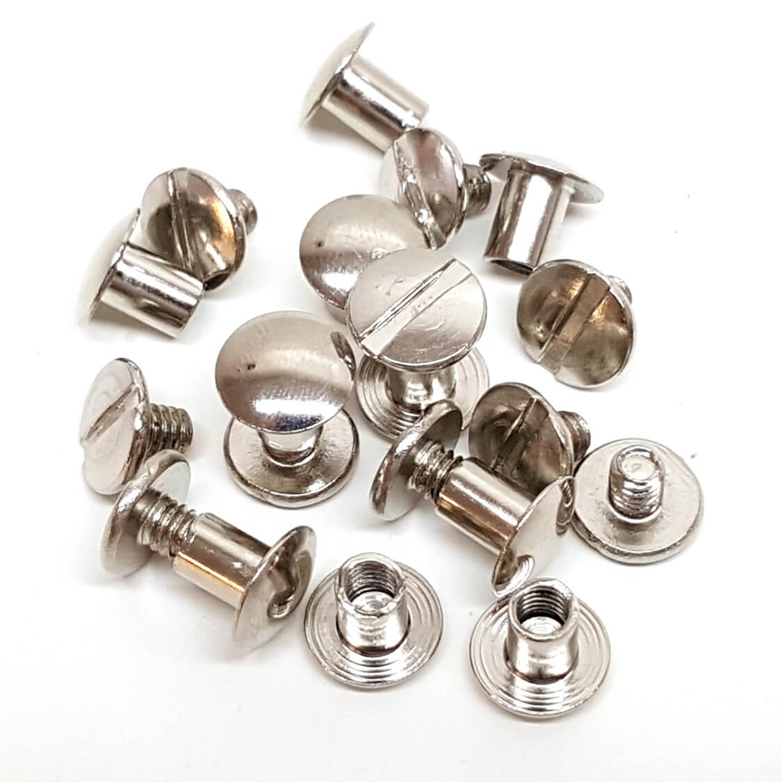 10 Pack 1/4" Chicago Screws Hill Leather Company